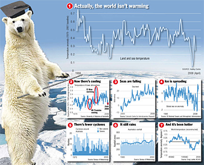 Global Warming: Nine out of ten Polar Bears disagree 